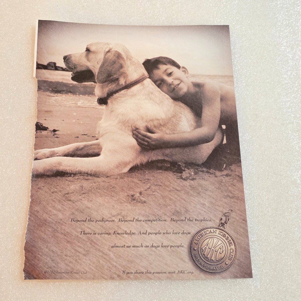 Vintage Print Ad AKC American Kennel Club boy and his dog beach 8x10.5 2004